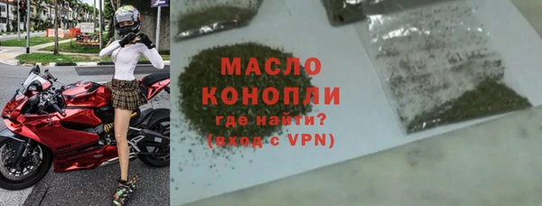ECSTASY Гусь-Хрустальный