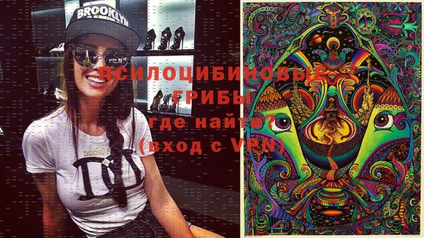 Альфа ПВП Гусев
