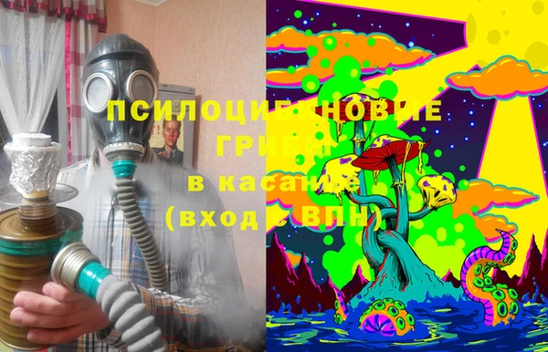 Альфа ПВП Гусев