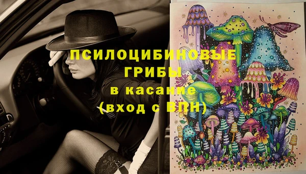 ECSTASY Гусь-Хрустальный