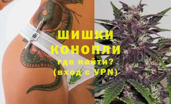 Альфа ПВП Гусев